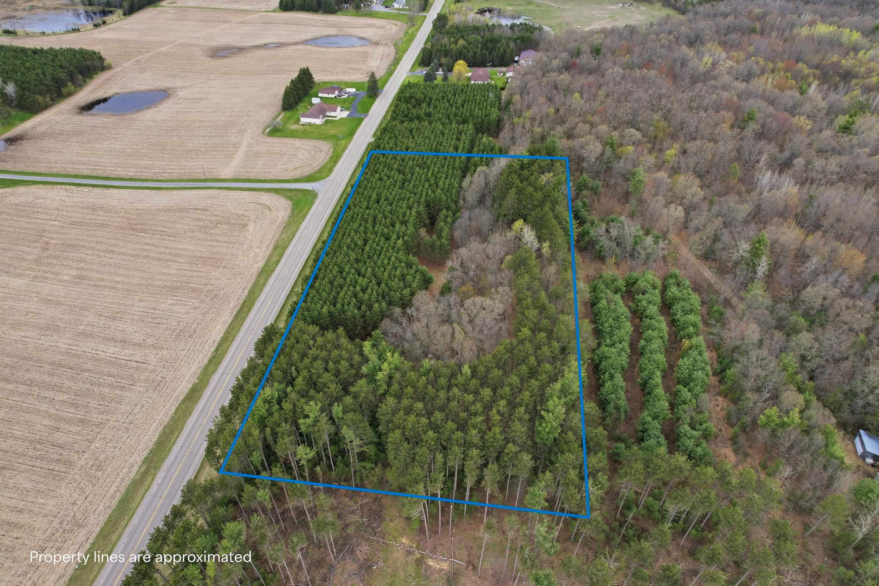 0 County Road Rosholt, WI 54473 - Photo 4 of 19