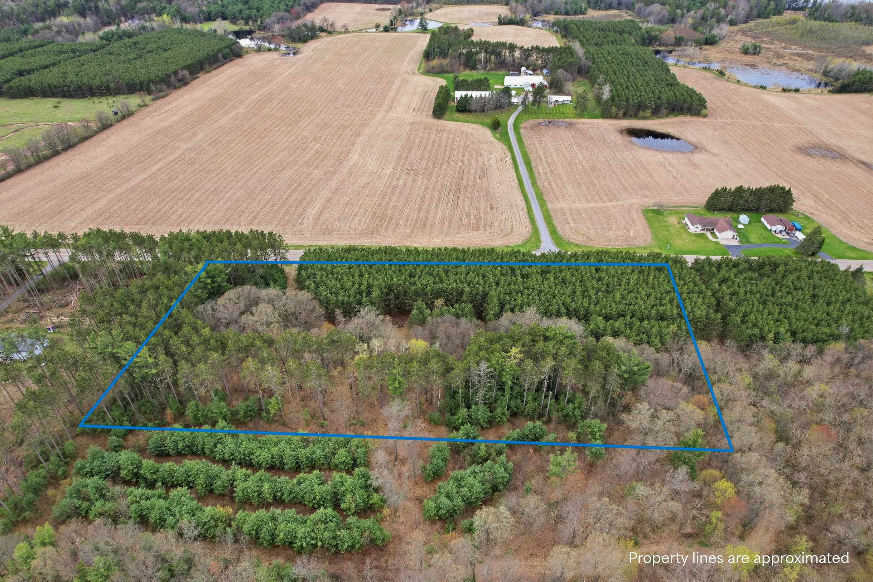 0 County Road Rosholt, WI 54473 - Photo 8 of 19