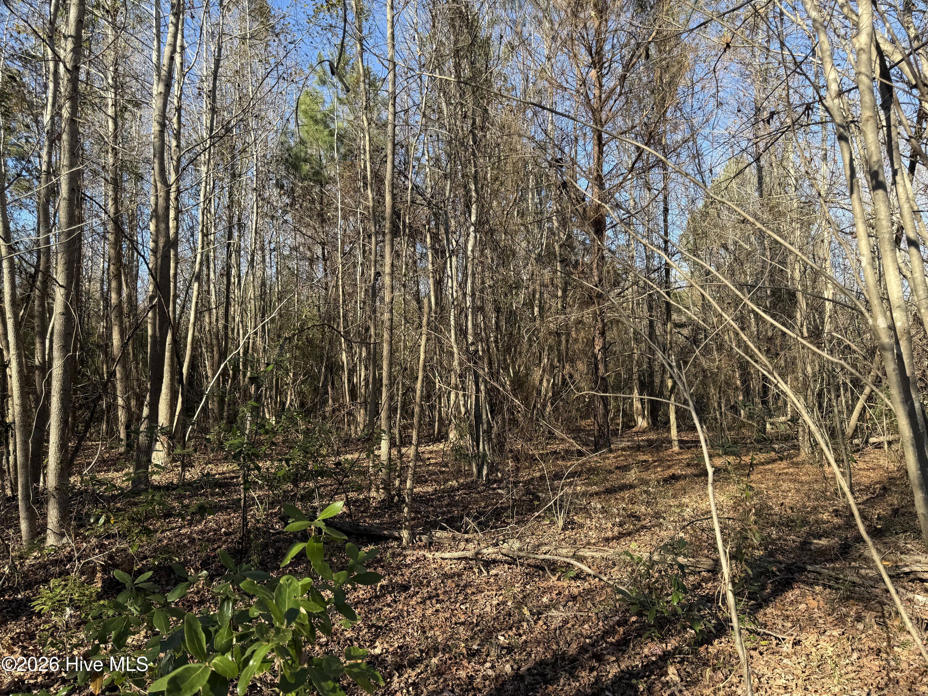 4758 Princess Ann Road Chadbourn, NC 28431 - Photo 34 of 35 Image 34