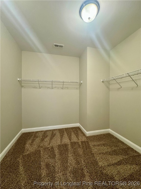 209 Pittfield Run Cameron, NC 28326 - Photo 19 of 34