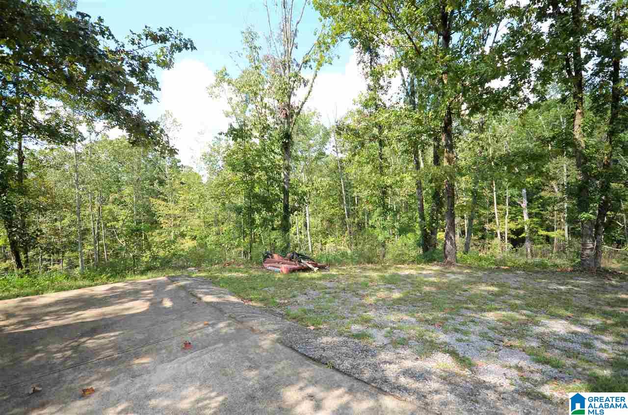 366 Tingle Road Double Springs, AL 35553 - Photo 36 of 39