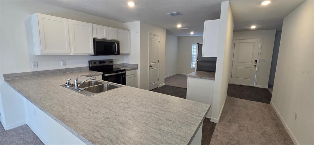 6010 Southwest 128th St Road Ocala, FL 34473 - Photo 11 of 16 a kitchen with a sink a microwave and refrigerator