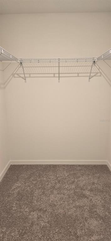 6010 Southwest 128th St Road Ocala, FL 34473 - Photo 15 of 16 a view of a room with racks on the wall