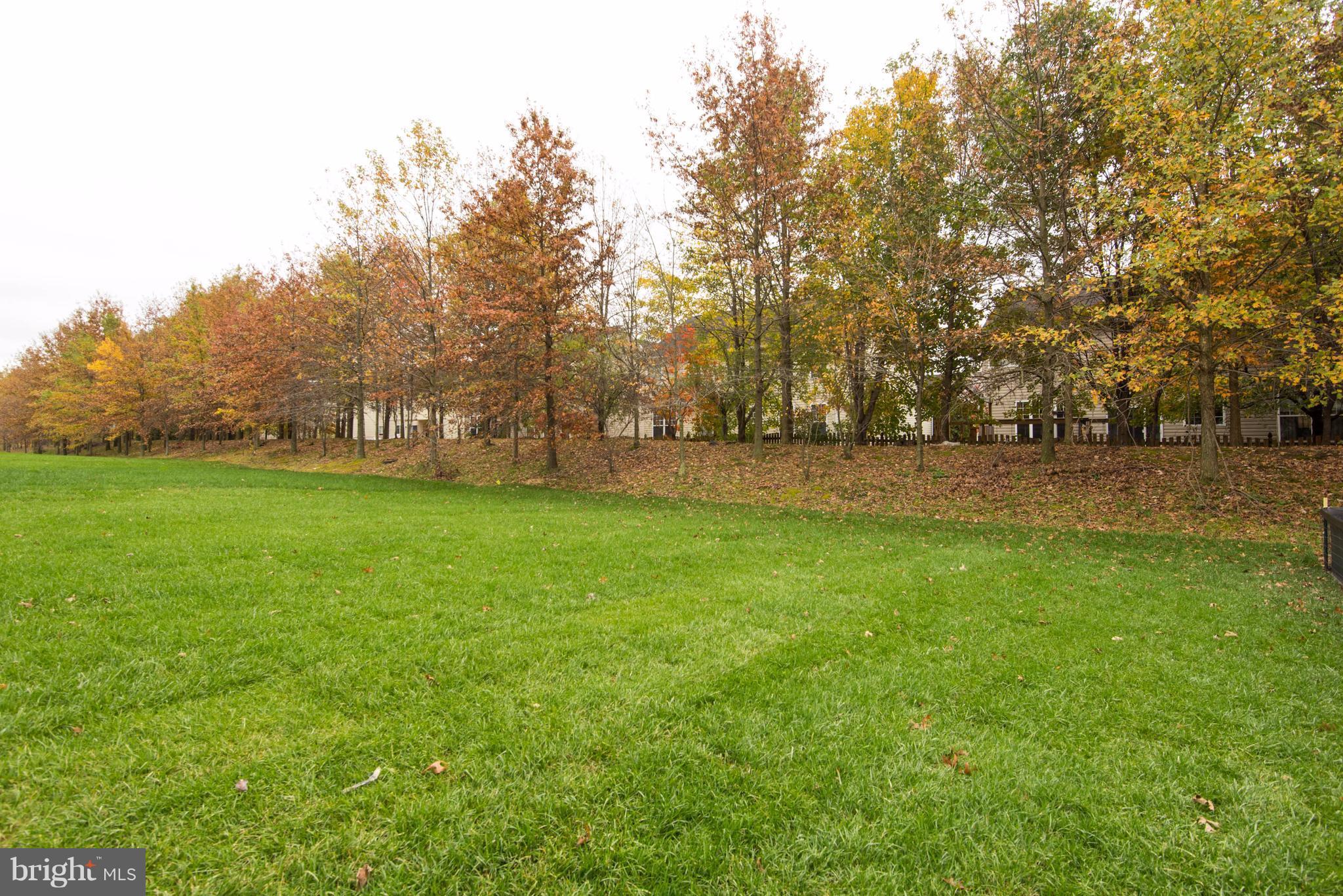 8115 Ridgely Loop Severn, MD 21144 - Photo 29 of 30 Backyard