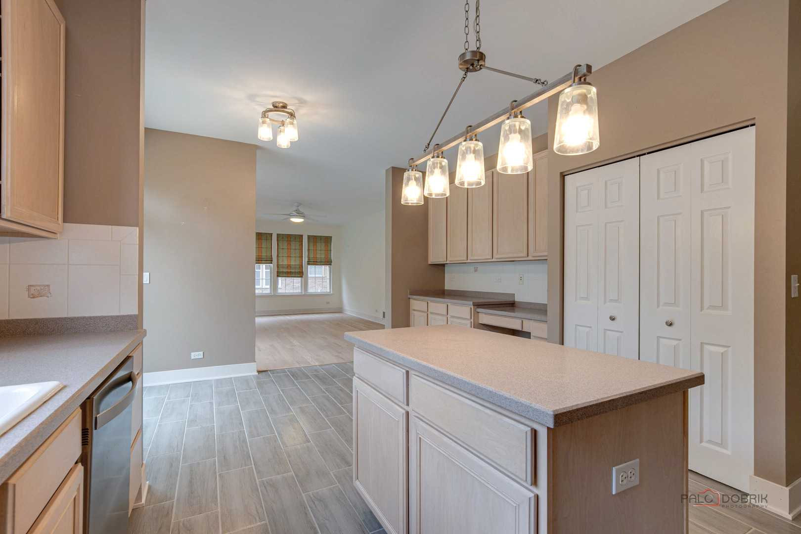 1638 Haig Point Lane Vernon Hills, IL 60061 - Photo 6 of 23