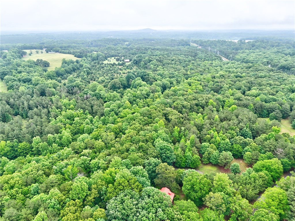 237 Spring Valley Road Liberty, SC 29657 - Photo 44 of 50 Discover vast, private acreage offering tranquil views and an ideal setting for a secluded retreat.