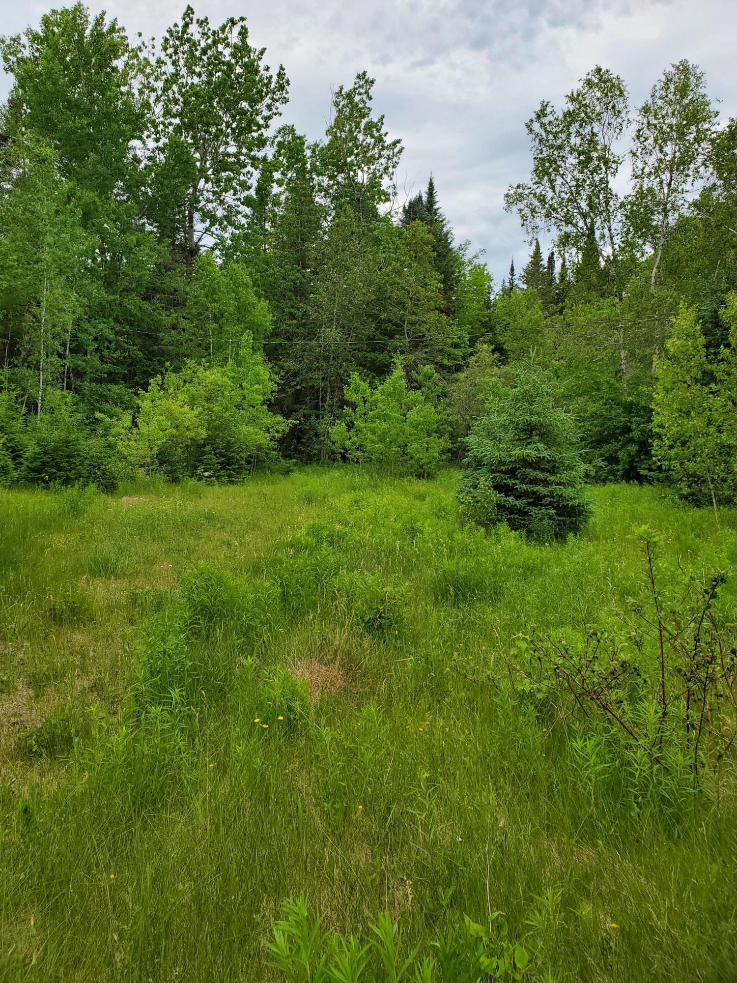2291 Bancroft Road Wytopitlock, ME 04497 - Photo 6 of 14 20210614_150939