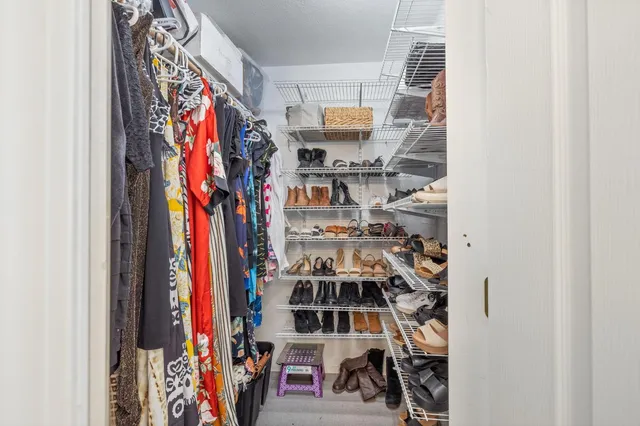 a view of a yard with trees