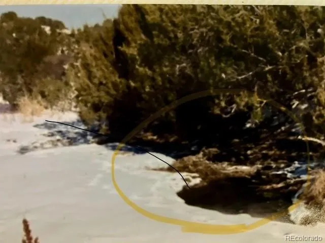 $530,000 | 5355 Sunflower Lane, Pueblo, CO 81004