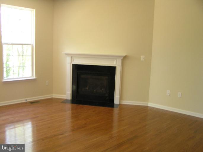 1809 Rileys Court South Point of Rocks, MD 21777 - Photo 3 of 17 Spacious Family Room with Fireplace