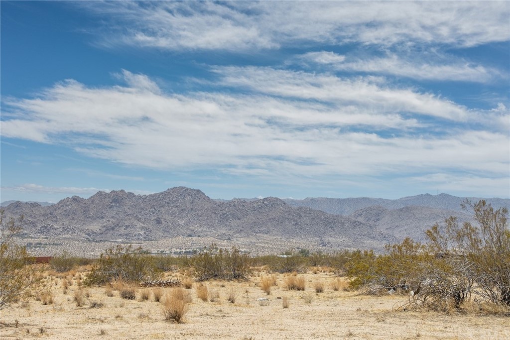 3000 3rd Street South Joshua Tree, CA 92252 - Photo 1 of 1 a view of lake with mountain