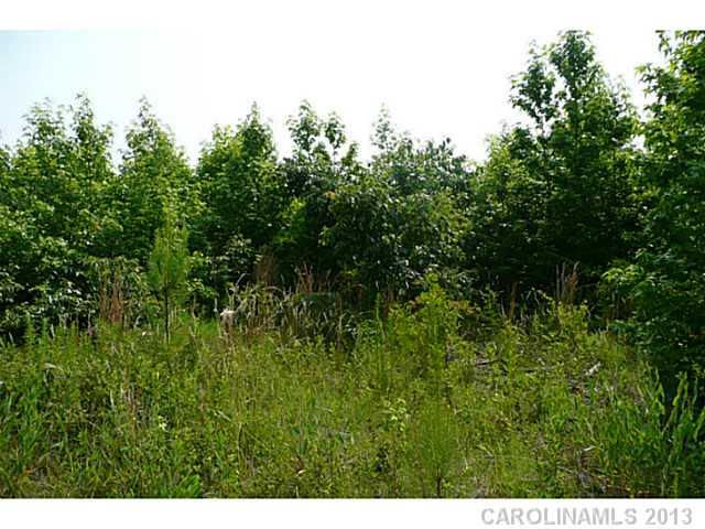 - New Hope Road Heath Springs, SC 29058 - Photo 11 of 16 Gallery Image 11