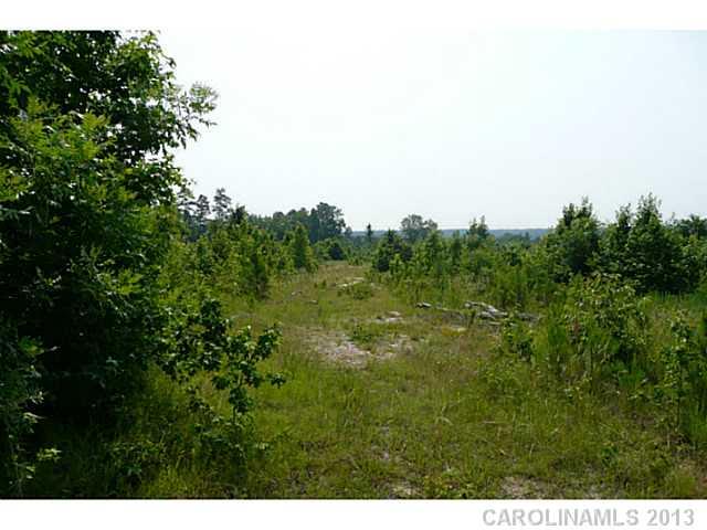 - New Hope Road Heath Springs, SC 29058 - Photo 12 of 16 Gallery Image 12