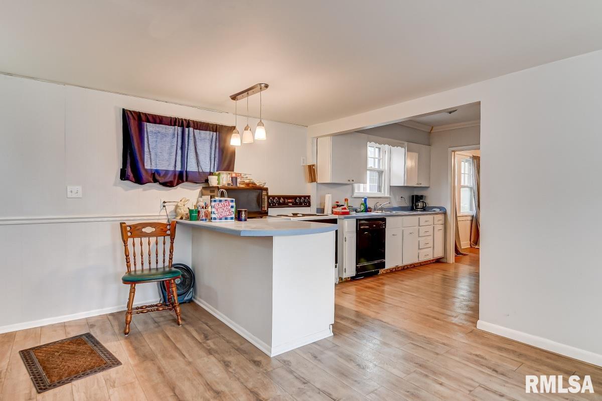 1915 South 5th Street Springfield, IL 62703 - Photo 10 of 19