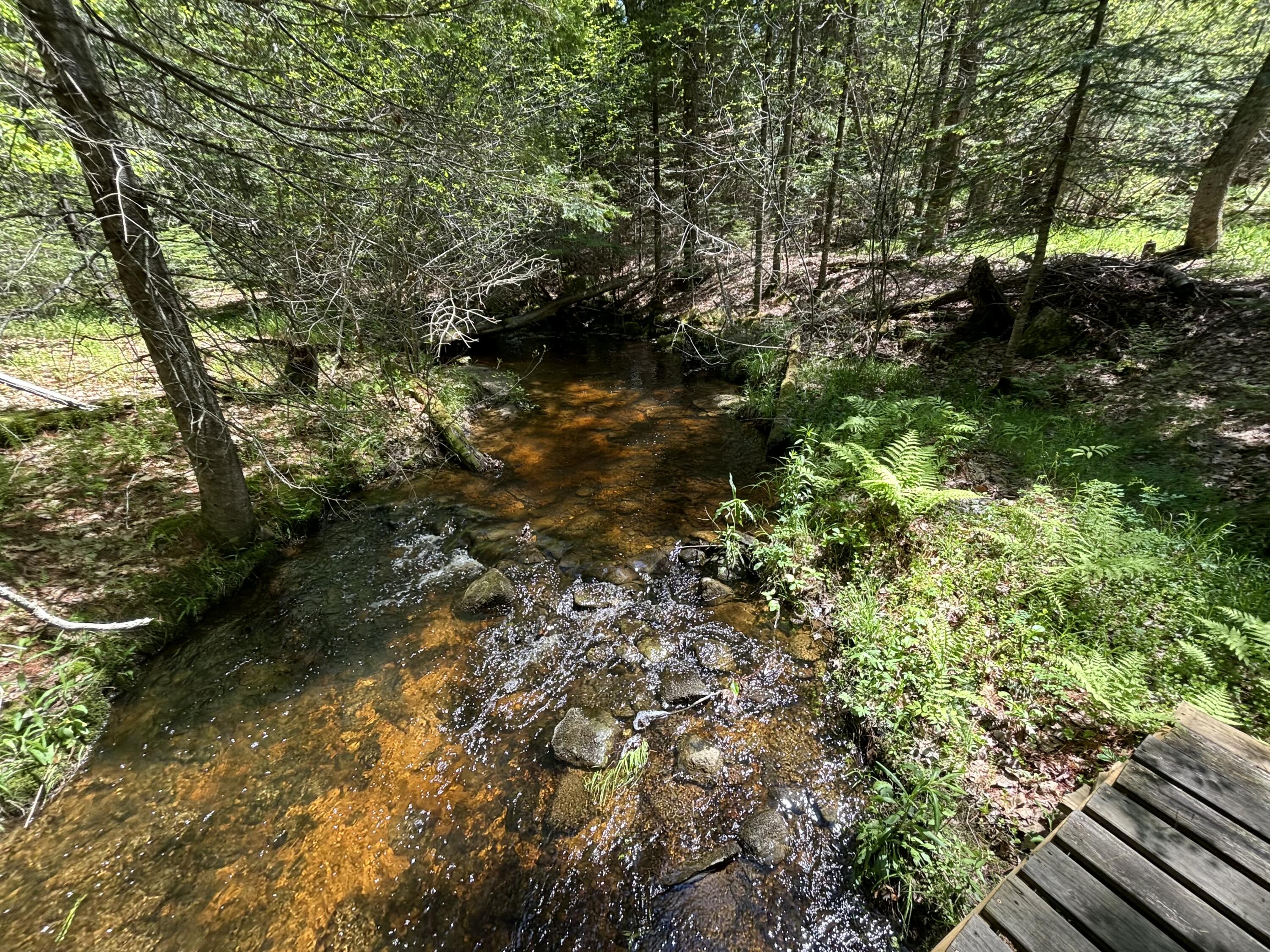 12 Radley Road Freeport, ME 04032 - Photo 56 of 58 IMG_20260527_162547 (15)
