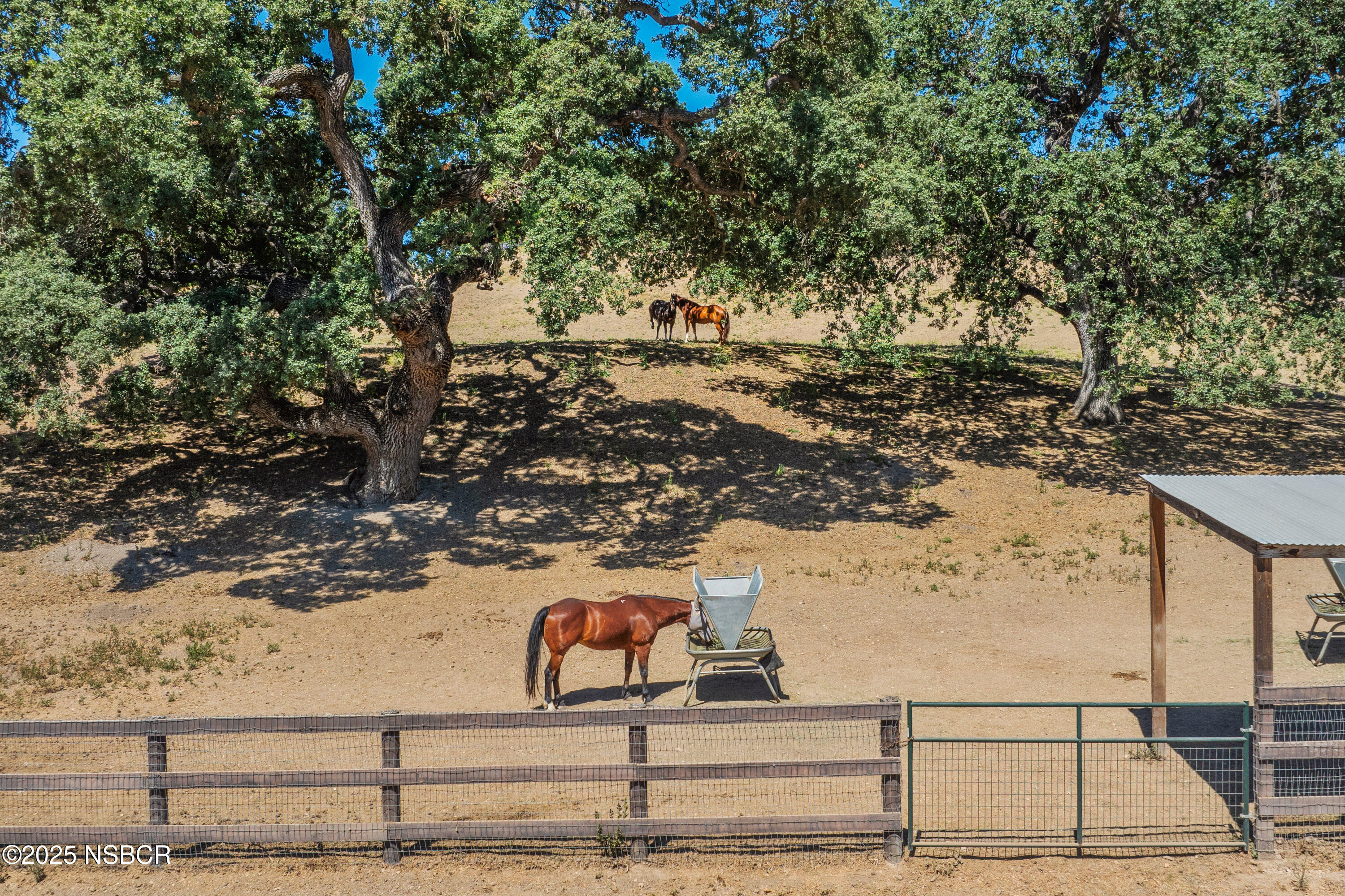 2279 Alamo Pintado Road Solvang, CA 93463 - Photo 48 of 62 Corral