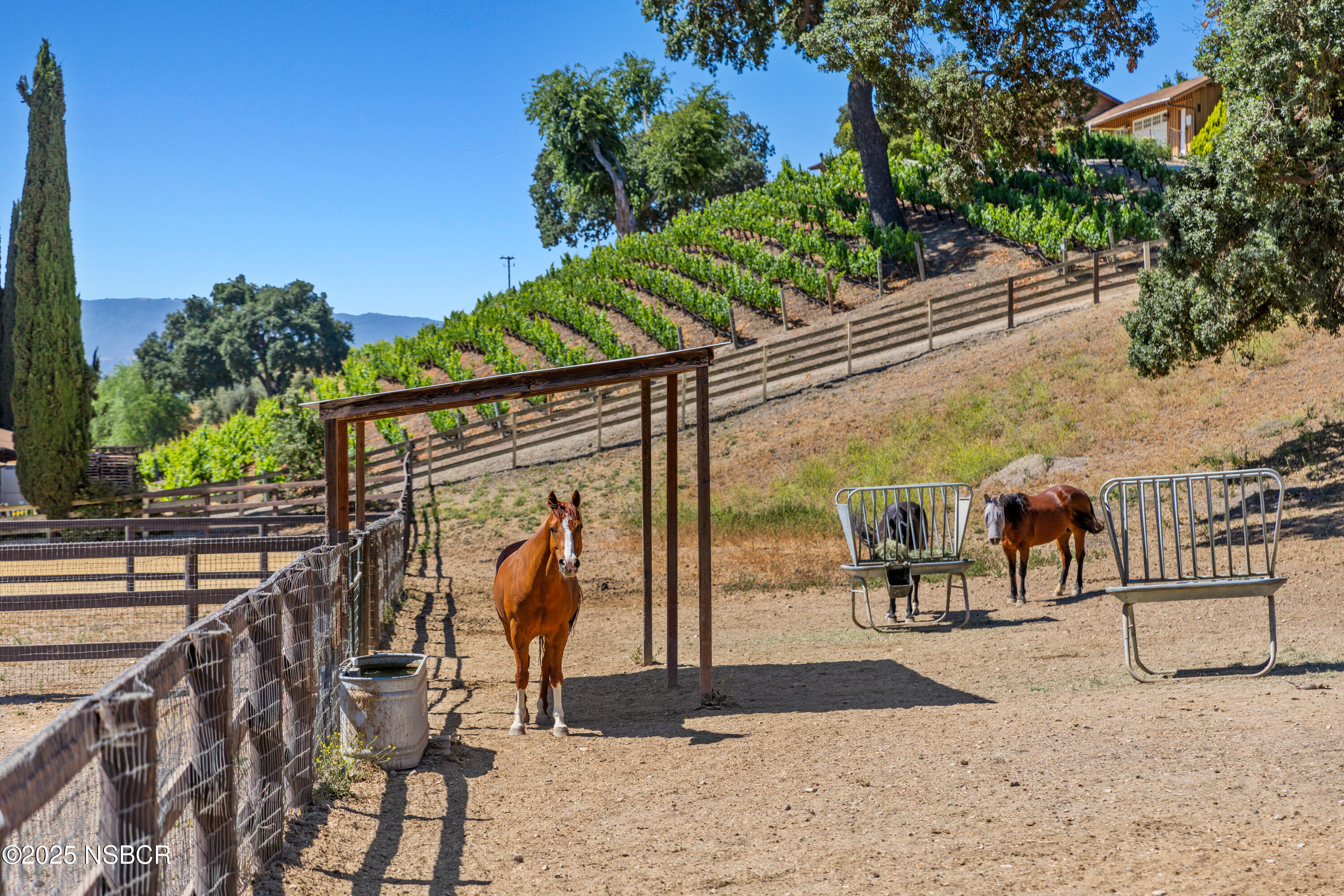 2279 Alamo Pintado Road Solvang, CA 93463 - Photo 49 of 62 Corral