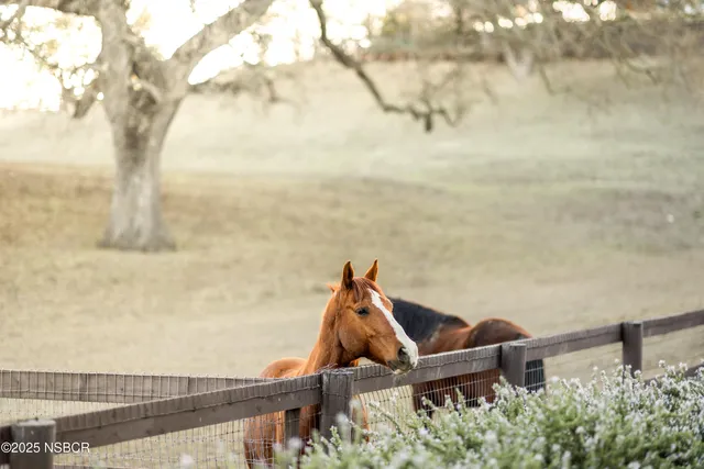 $3,595,000 | 2279 Alamo Pintado Road, Solvang, CA 93463