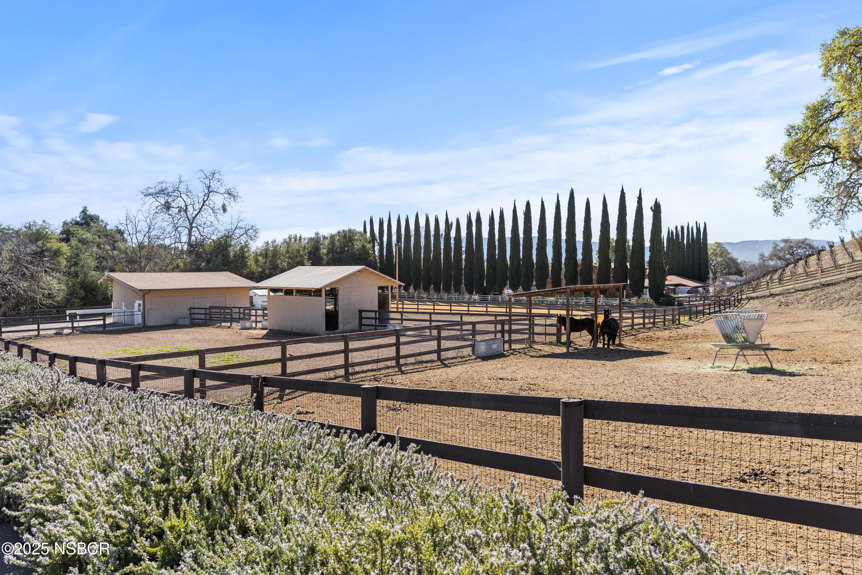 2279 Alamo Pintado Road Solvang, CA 93463 - Photo 53 of 62 Horse facilities