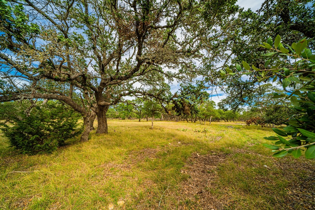Lot 4 Reservation Road, Unit 6 Harper, TX 78631 - Photo 2 of 5 Gallery Image 2
