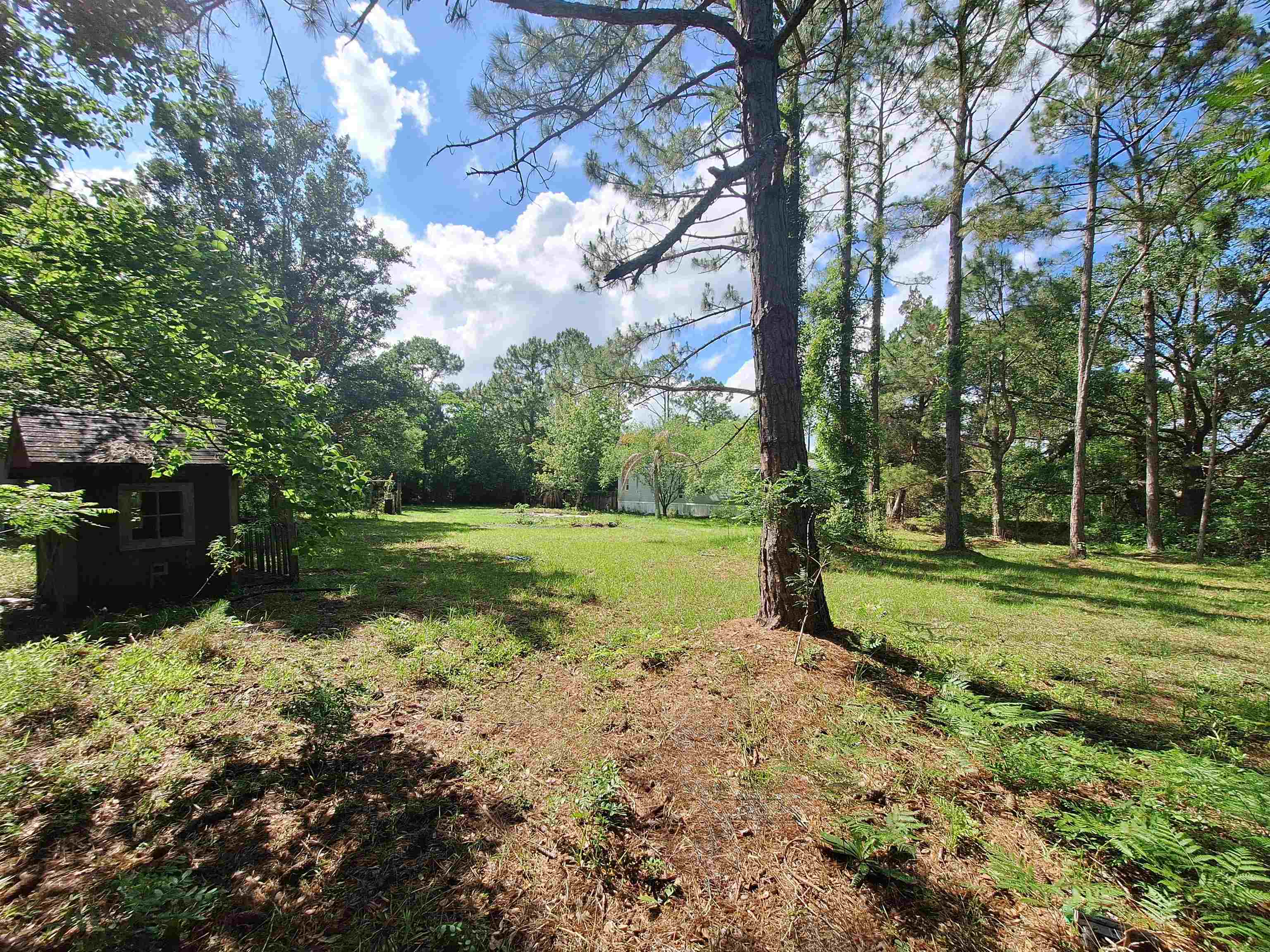 5610 Datil Pepper Road St. Augustine, FL 32086 - Photo 19 of 48