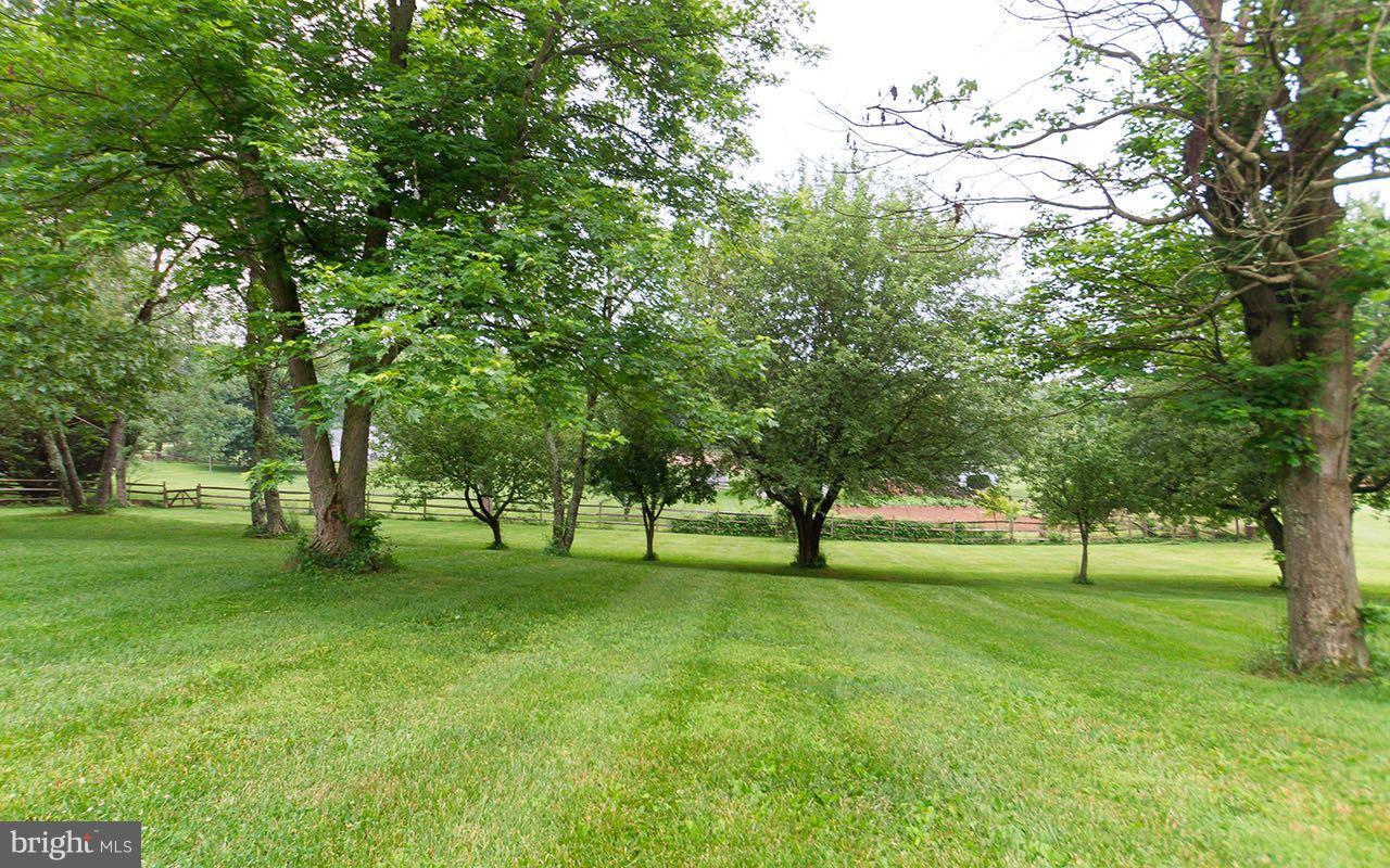 3905 Church Road Manchester, MD 21102 - Photo 30 of 30 Mature trees and landscaping