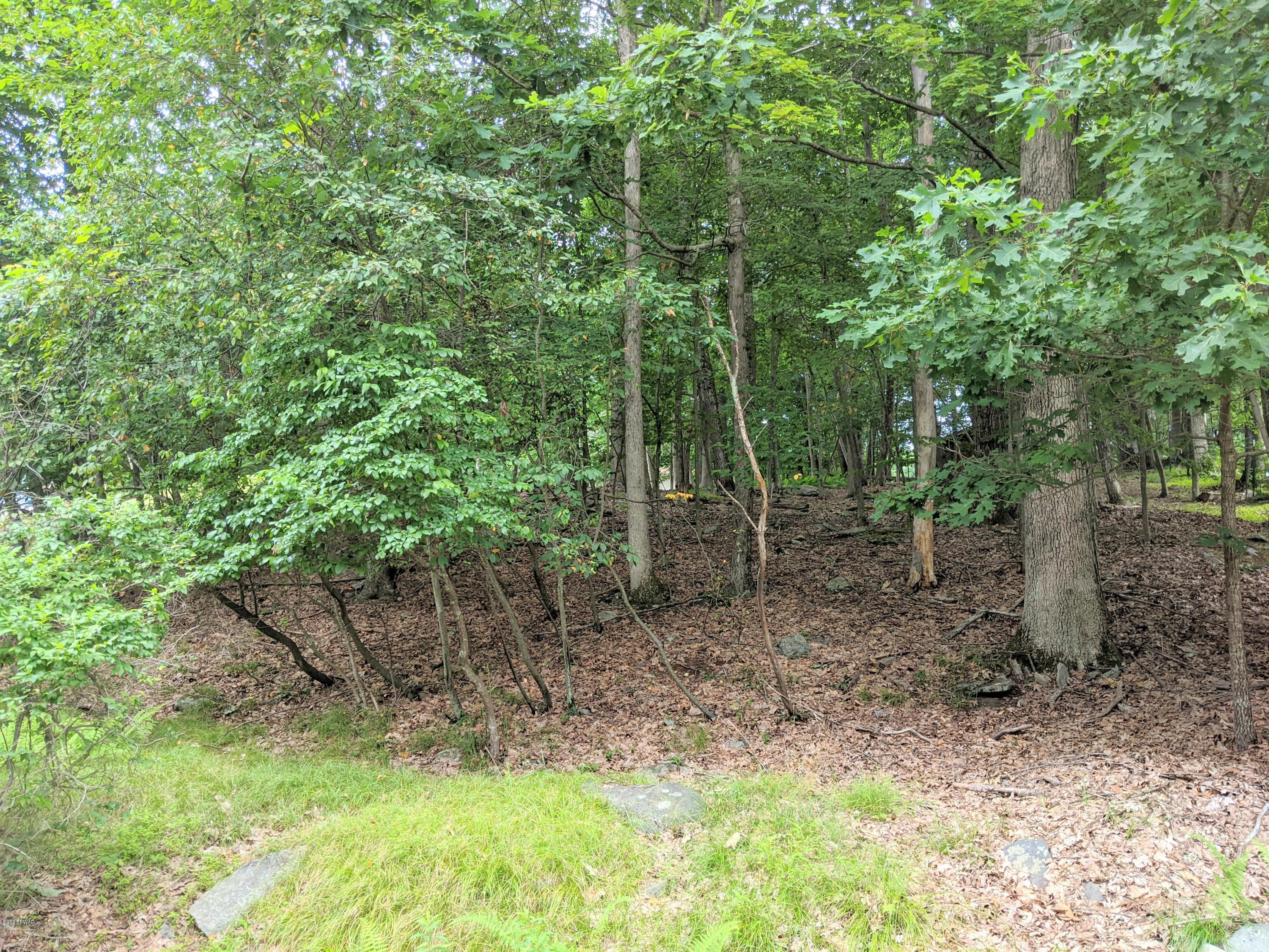Lot 37 Heather Hill Road Dingmans Ferry, PA 18328 - Photo 3 of 5