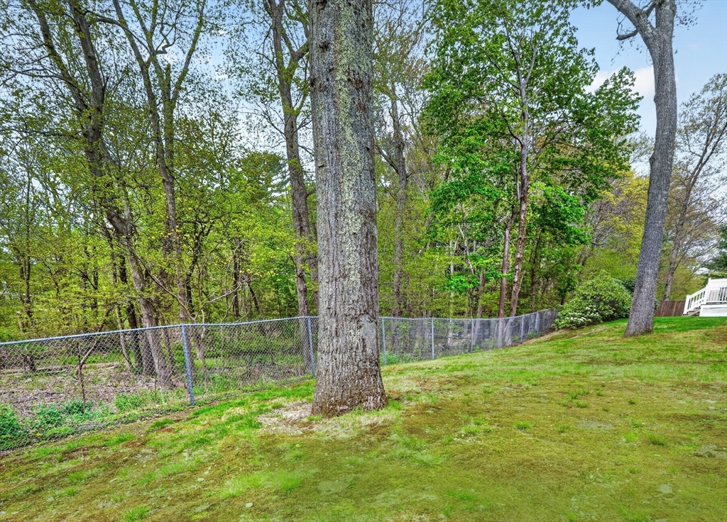58-60 Tanglewood Road, Unit 58 Newton, MA 02459 - Photo 28 of 33
