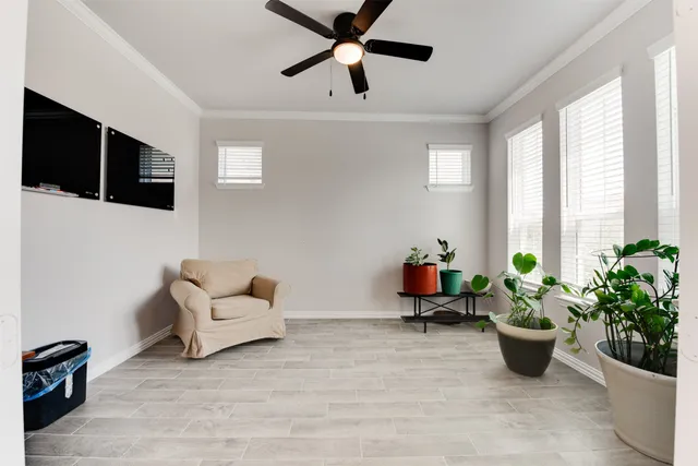 a living room with furniture potted plant and a window