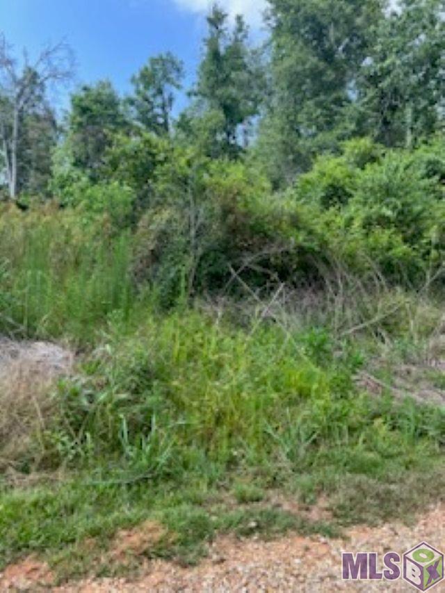Tract B Morris Road Hammond, LA 70401 - Photo 3 of 6 Gallery Image 3