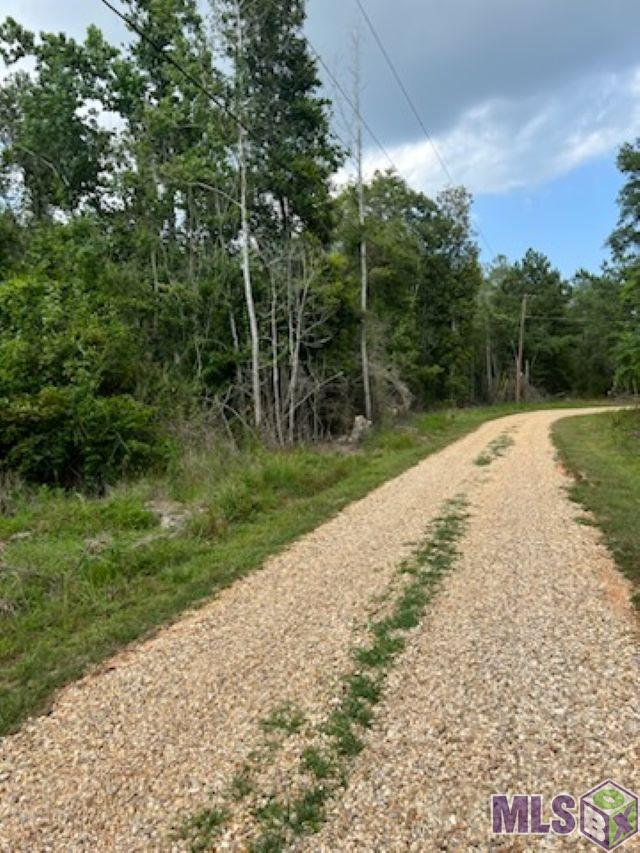 Tract B Morris Road Hammond, LA 70401 - Photo 4 of 6 Gallery Image 4