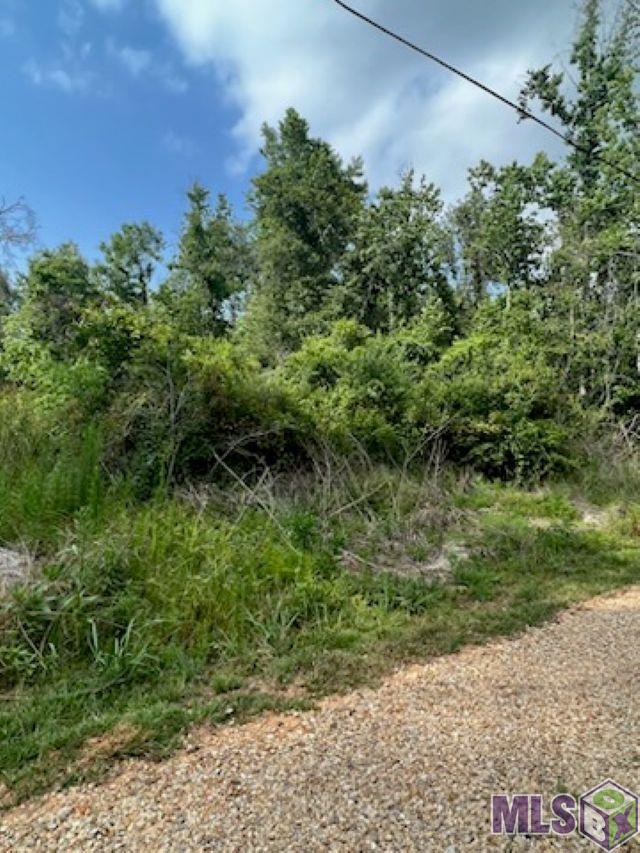 Tract B Morris Road Hammond, LA 70401 - Photo 5 of 6 Gallery Image 5