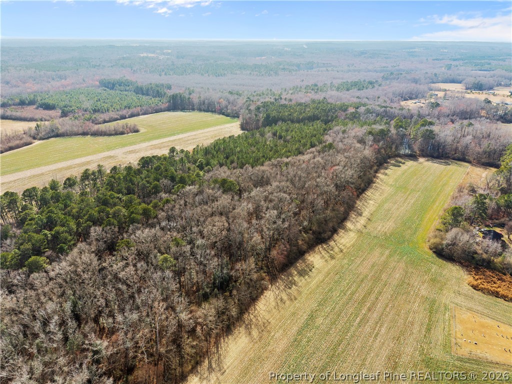 1896-0 Clark Road Lillington, NC 27546 - Photo 5 of 9