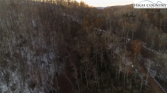 a view of a dry yard with trees