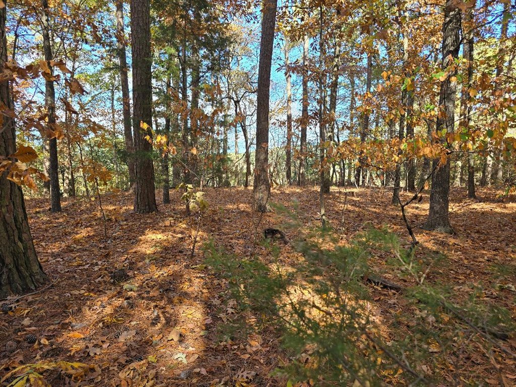 0 Barnes Circle, Unit 9 Parksley, VA 23421 - Photo 4 of 4