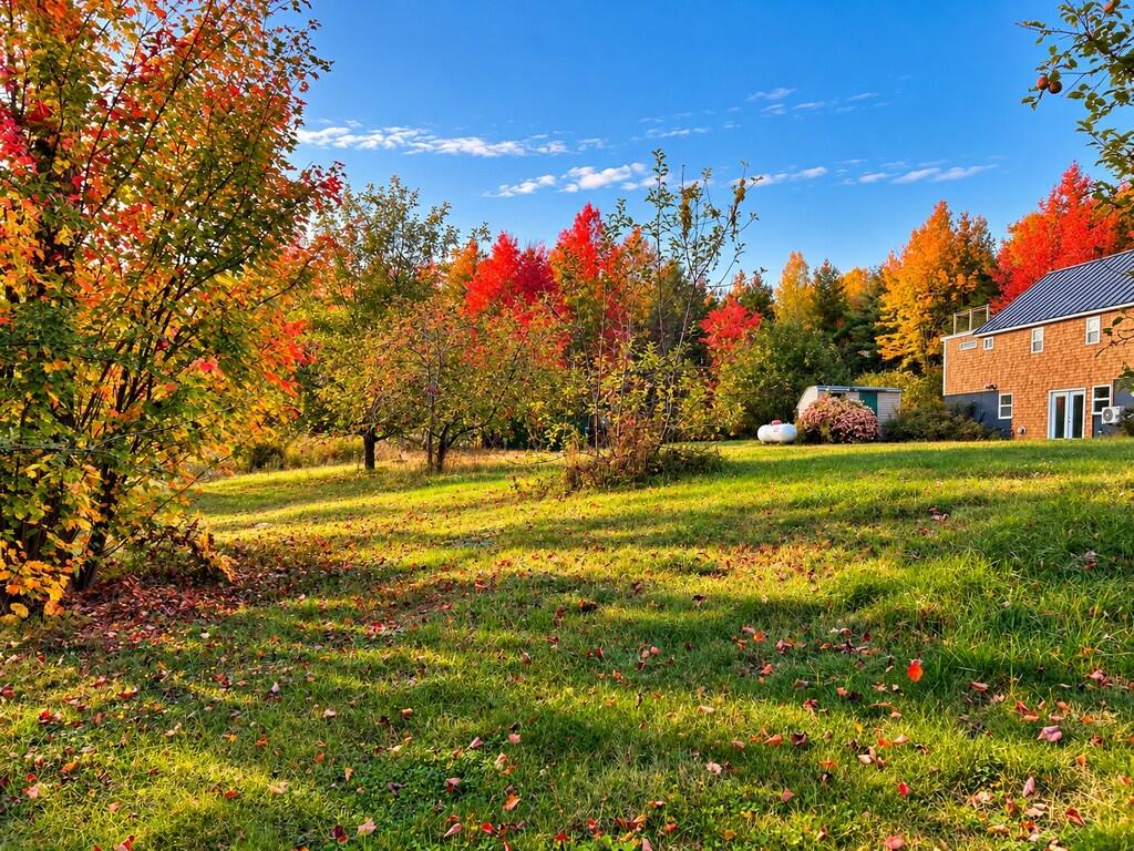 241 Baker Brook Road Bradley, ME 04411 - Photo 82 of 106 Lawn 18 (251-BBR-Bradley) (Copy)