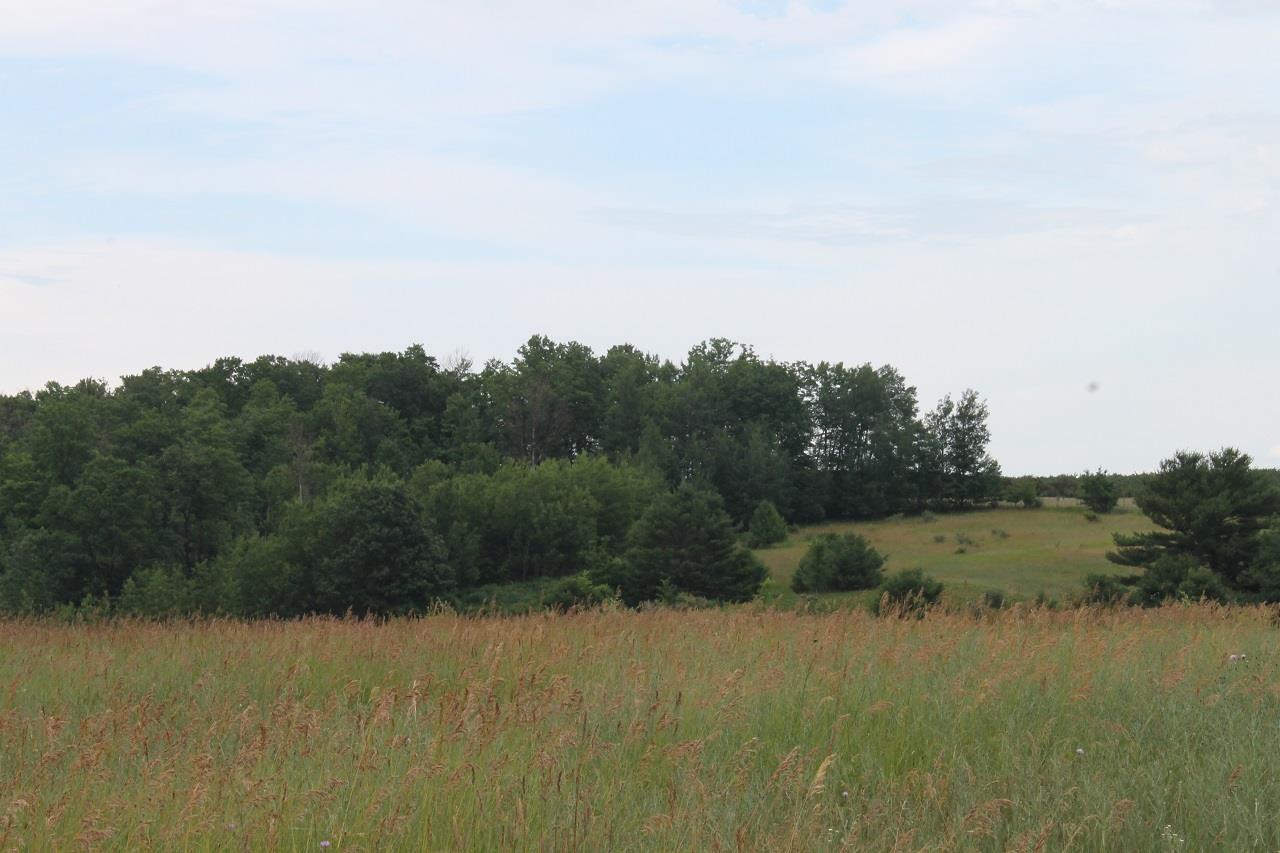 7304 Skegemog Point Road Williamsburg, MI 49690 - Photo 20 of 23 1819864-19.JPG