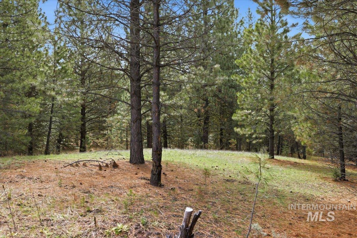 7 Carol Court Cascade, ID 83611 - Photo 21 of 39