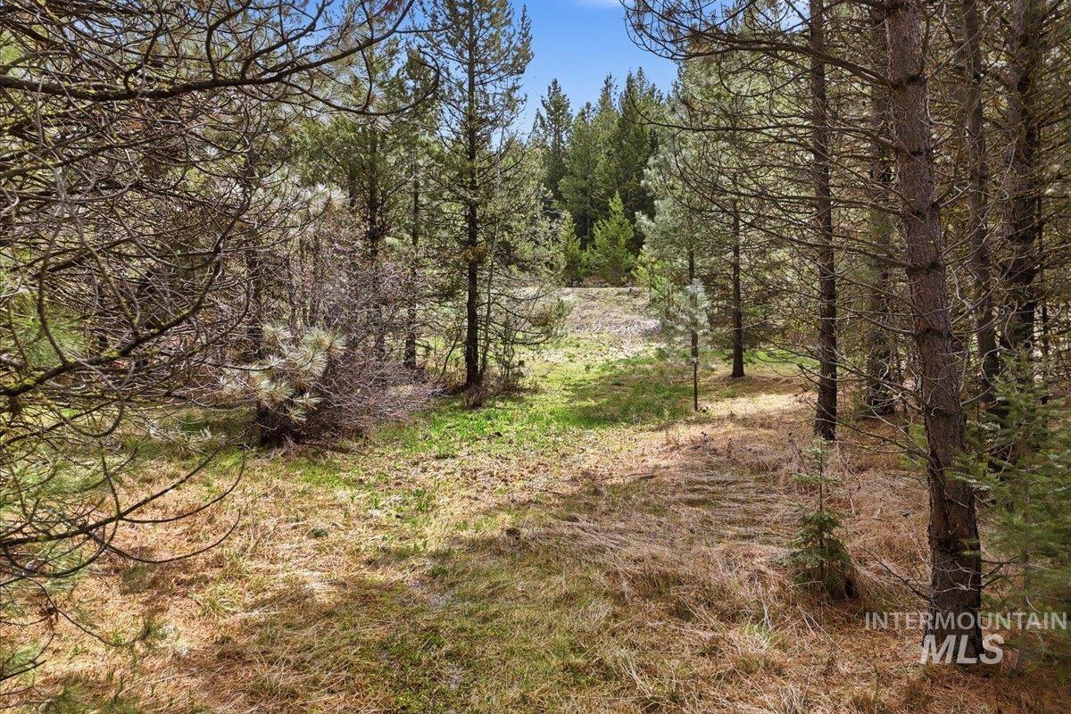7 Carol Court Cascade, ID 83611 - Photo 25 of 39