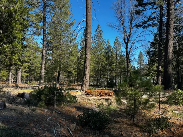 a view of outdoor space with trees