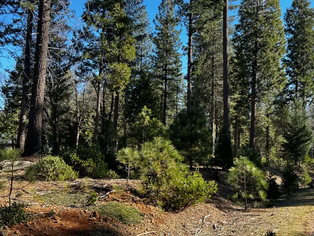 a view of a backyard of a house
