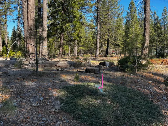 a backyard of a house with lots of green space