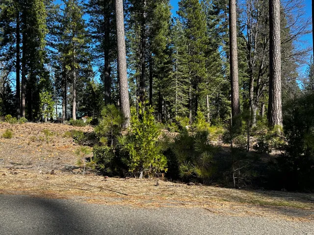 a view of a yard covered with snow in front of house