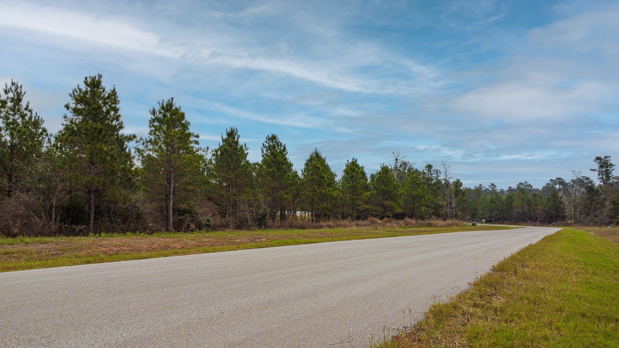 12677 Oak Barrel Road Willis, TX 77378 - Photo 2 of 12 a view of a swimming pool with an outdoor seating and a yard