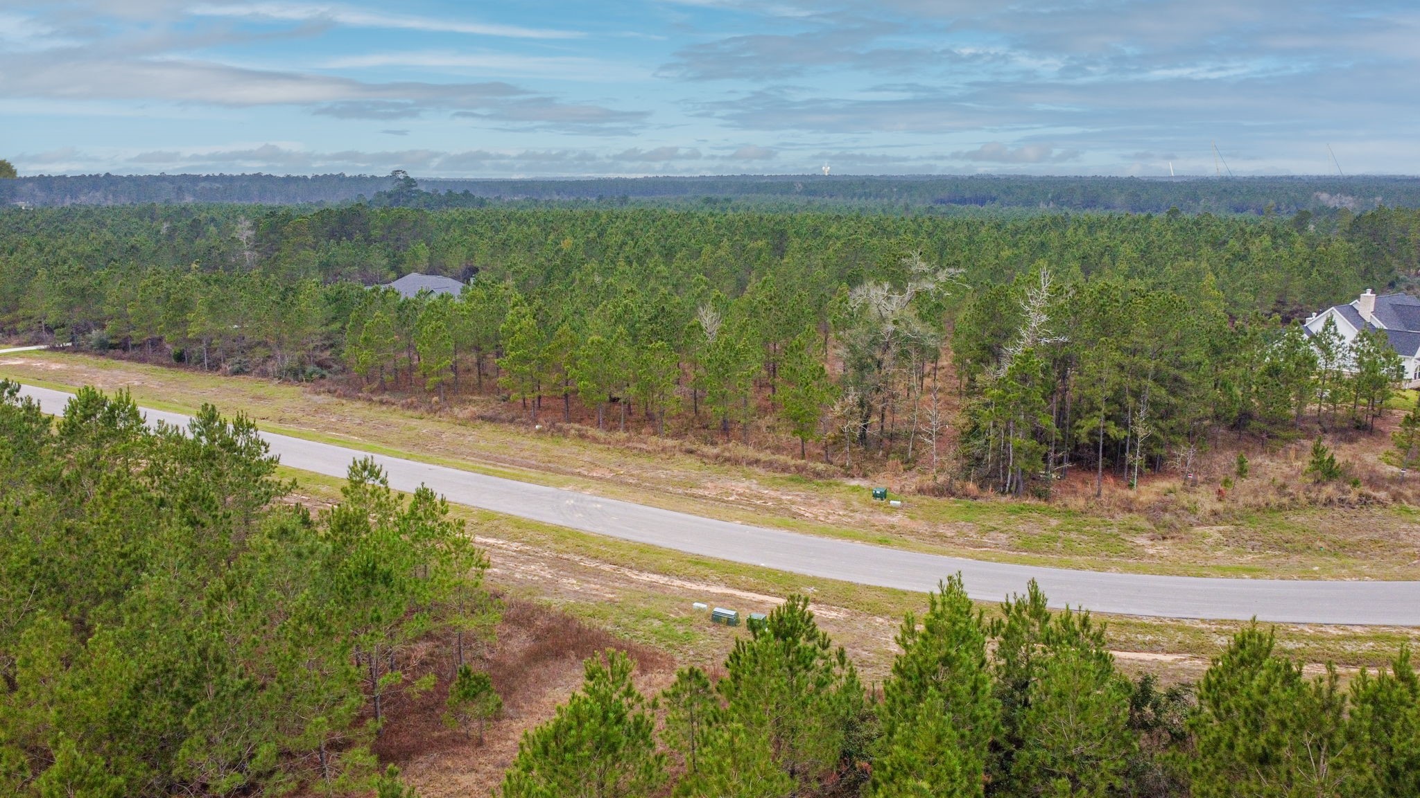 12677 Oak Barrel Road Willis, TX 77378 - Photo 3 of 12 a view of a yard with an outdoor space