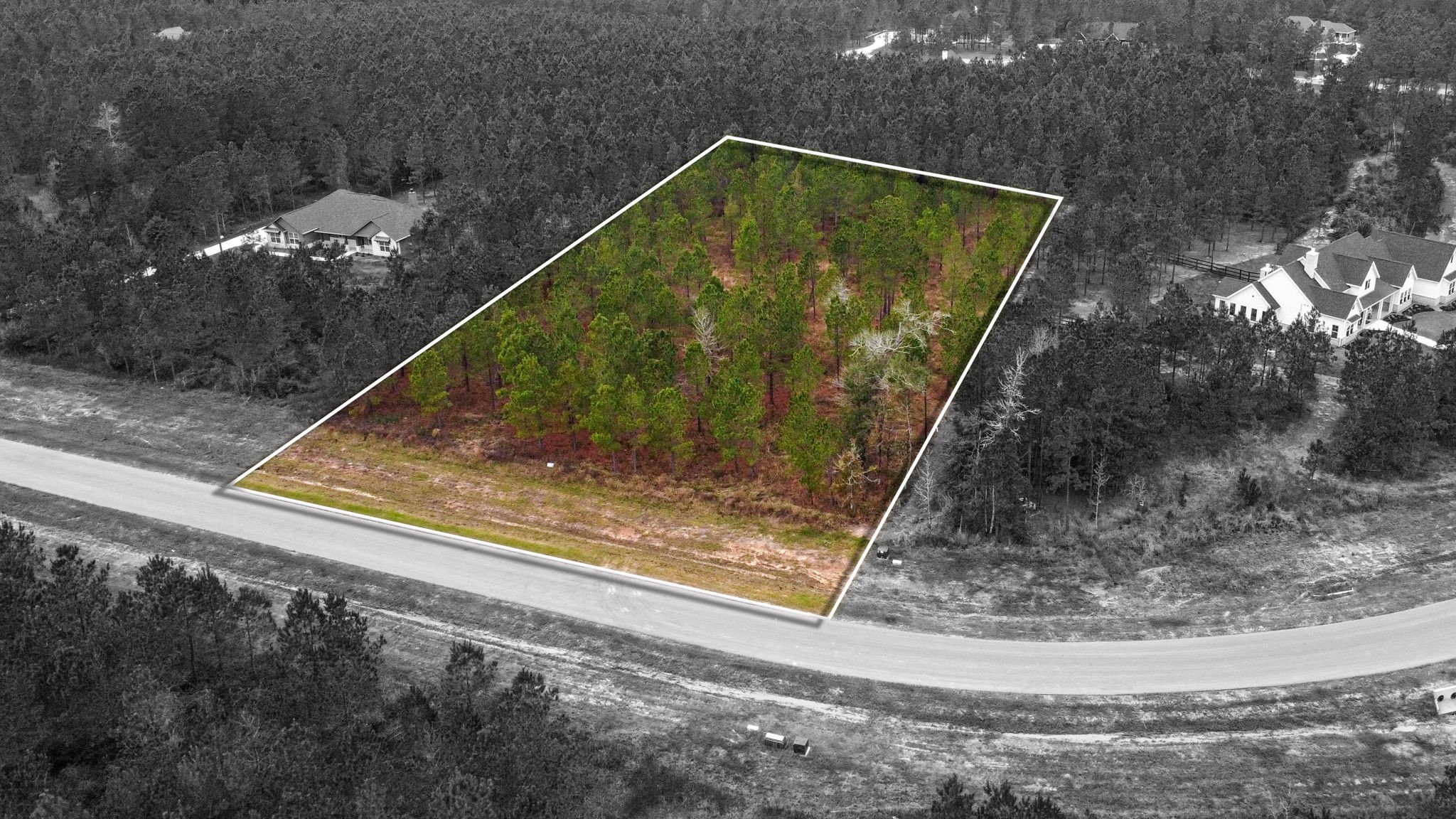 12677 Oak Barrel Road Willis, TX 77378 - Photo 5 of 12 a view of swimming pool