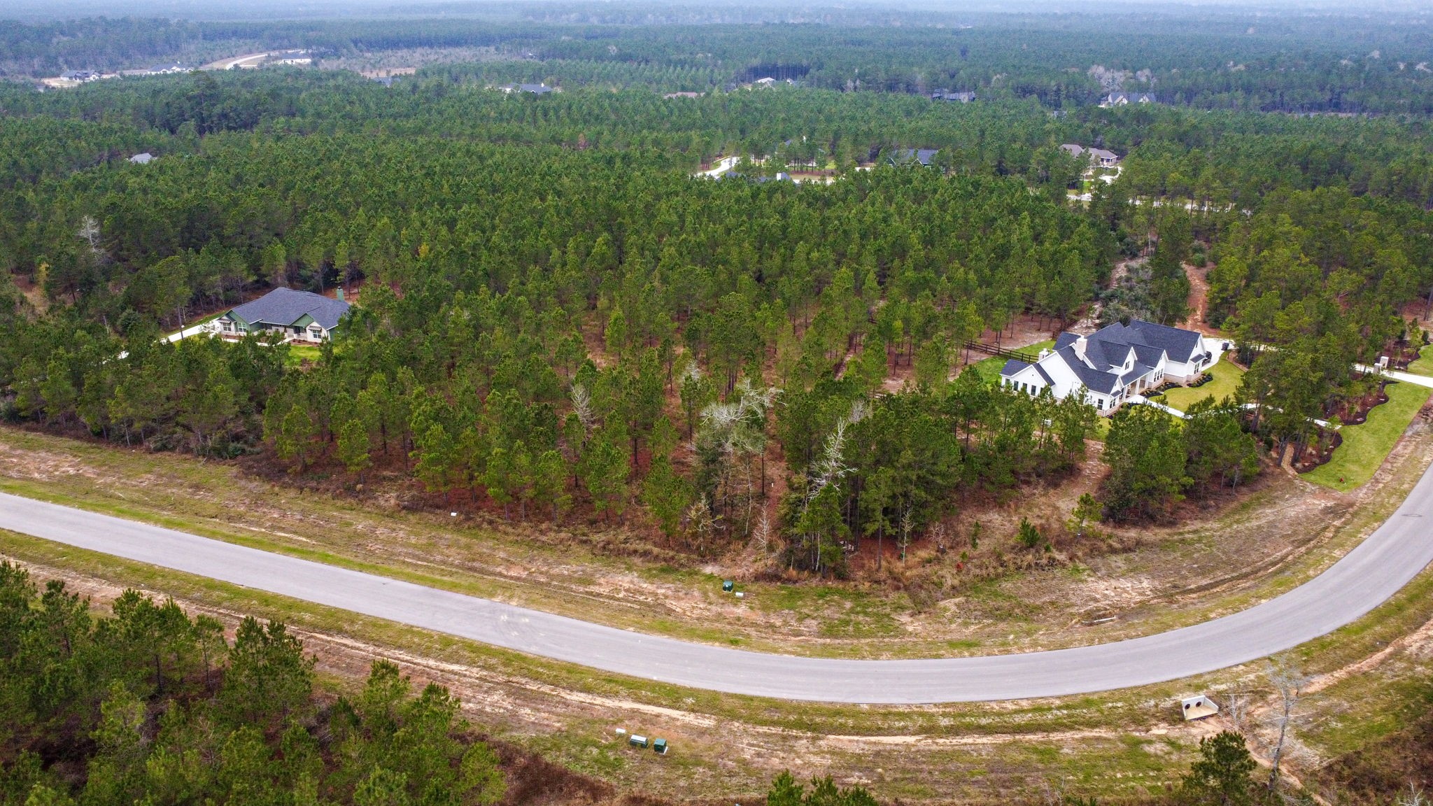 12677 Oak Barrel Road Willis, TX 77378 - Photo 6 of 12 a view of a wooden house with a yard