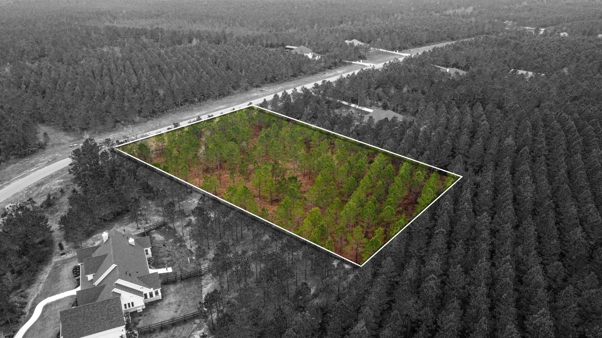 12677 Oak Barrel Road Willis, TX 77378 - Photo 7 of 12 a view of a backyard