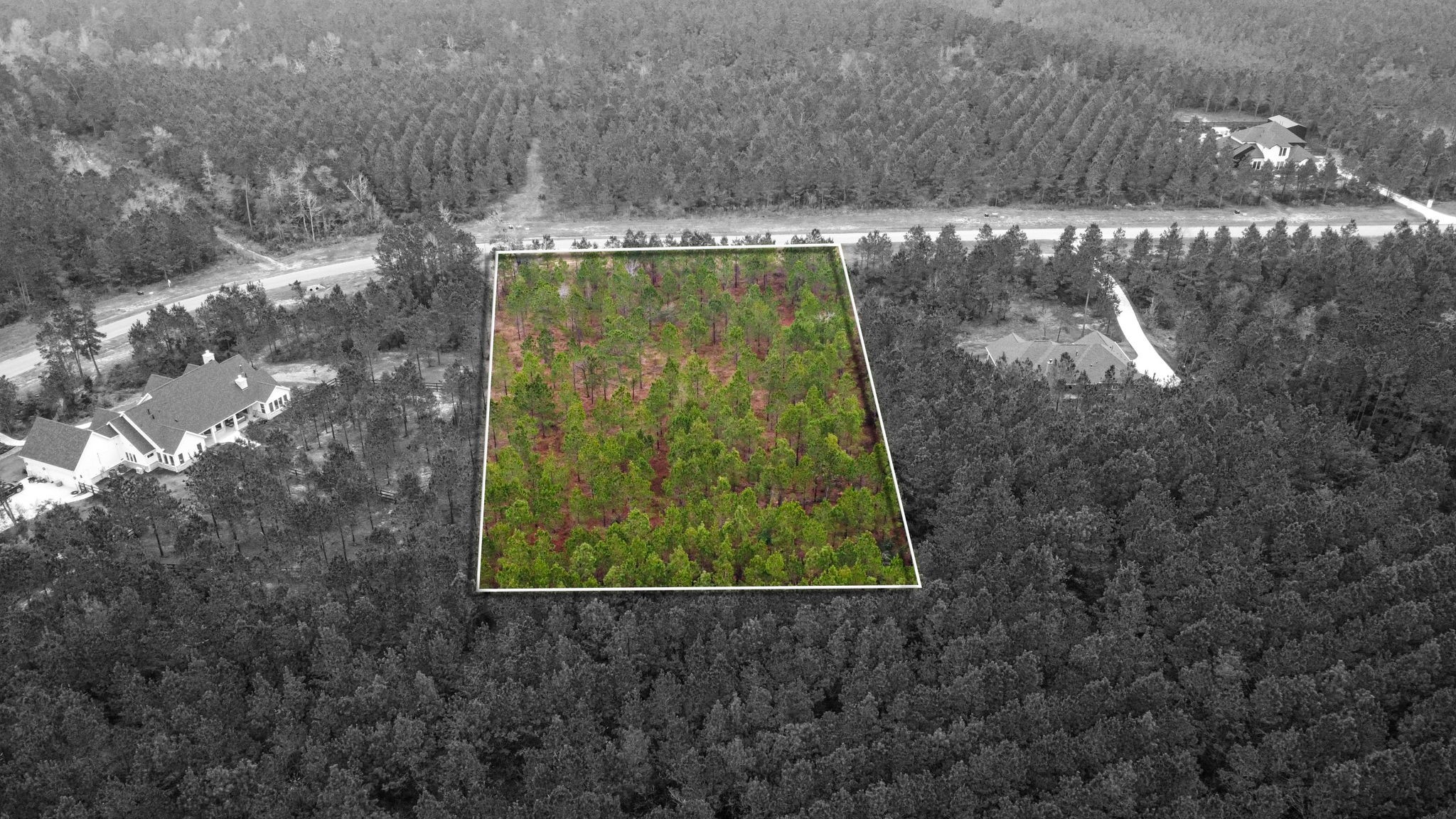 12677 Oak Barrel Road Willis, TX 77378 - Photo 8 of 12