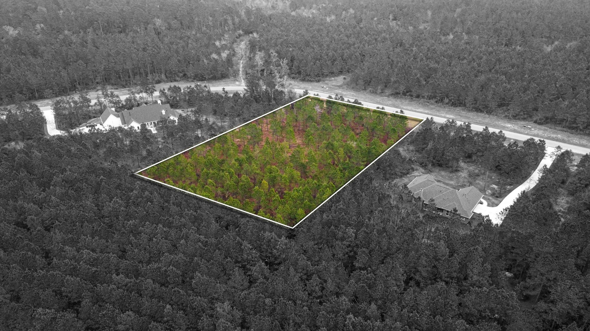 12677 Oak Barrel Road Willis, TX 77378 - Photo 9 of 12 a view of a backyard